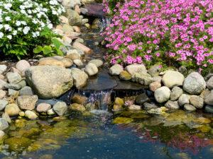 Sommerlicher Steingarten mit rosafarbenen Petunienpflanzen und kleinem Wasserfall an einem Bachlauf.