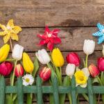 Tulpen mit Windrad Deko auf Holz, hinter Gartenzaun