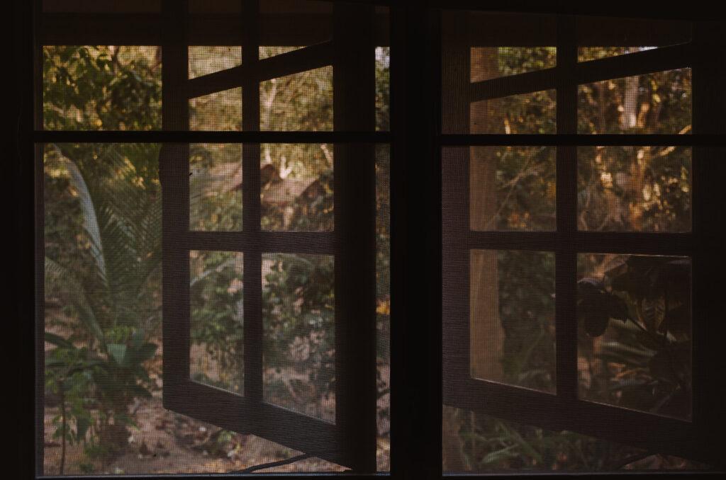 Ein Fenstergitter mit Blumen im Hintergrund